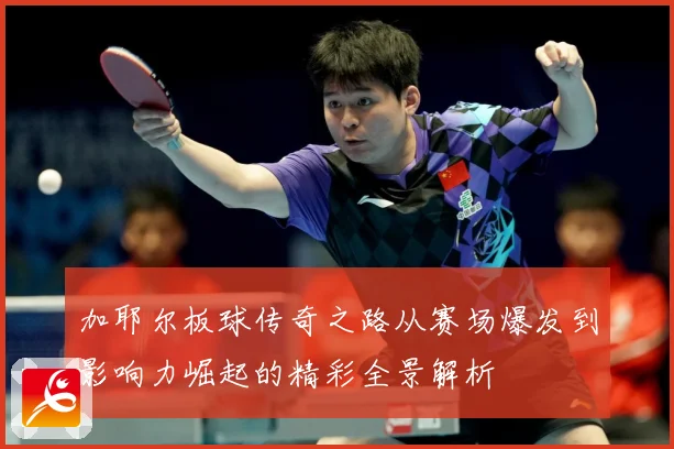 加耶尔板球传奇之路从赛场爆发到影响力崛起的精彩全景解析