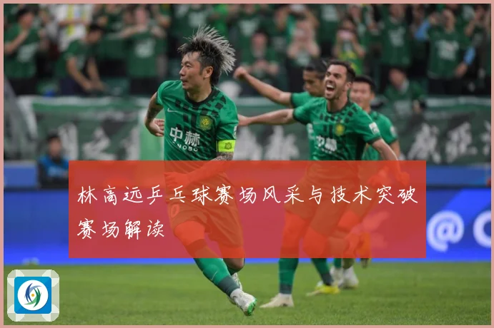 林高远乒乓球赛场风采与技术突破赛场解读